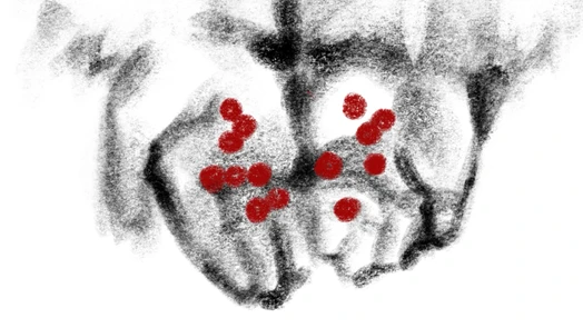 изображение галереи 1