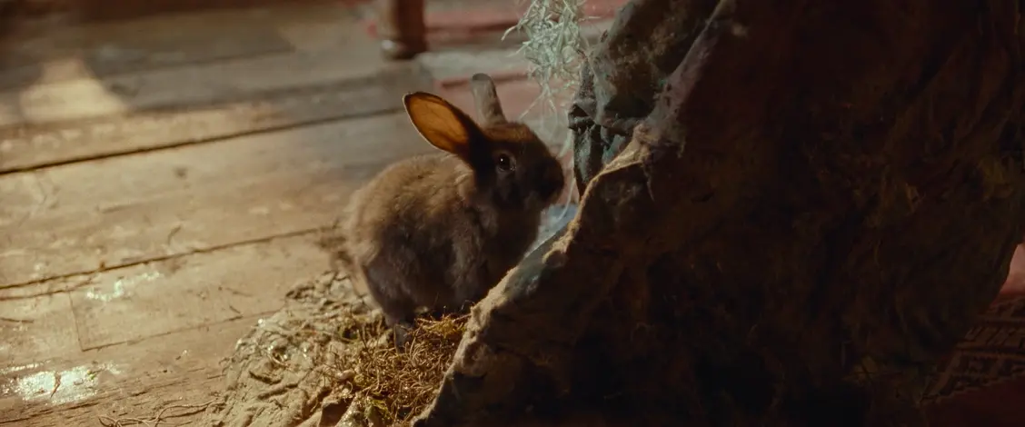 изображение галереи 1