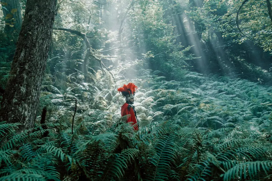 изображение галереи 1