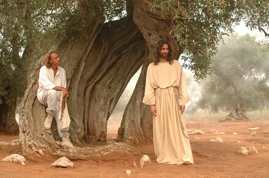 изображение галереи 1