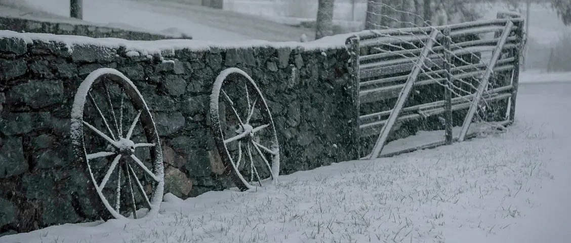 изображение галереи 1