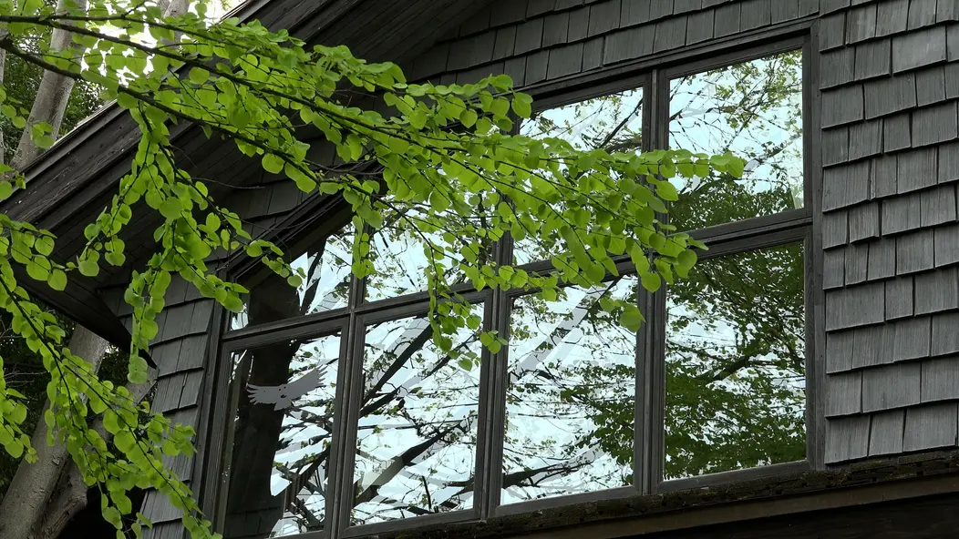 изображение галереи 1