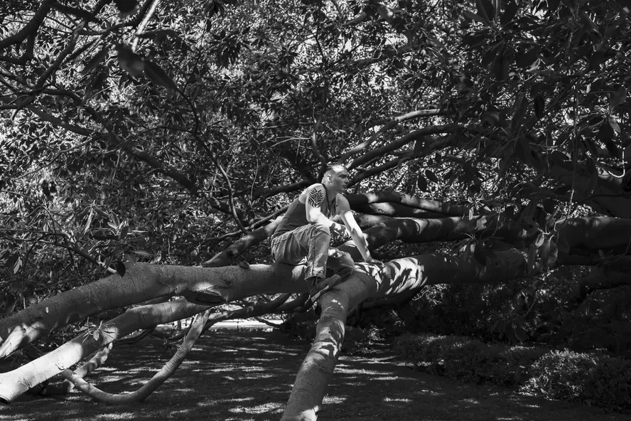 изображение галереи 1