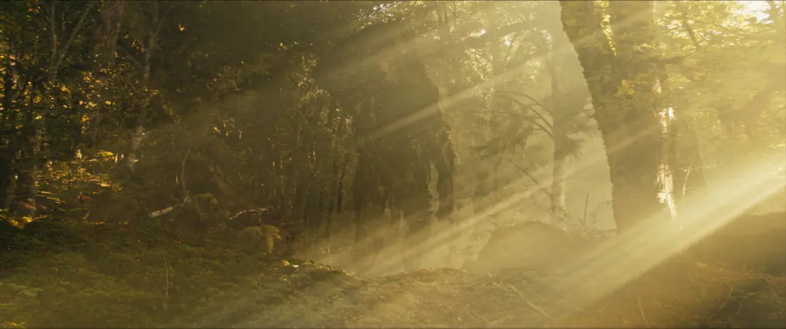 изображение галереи 1