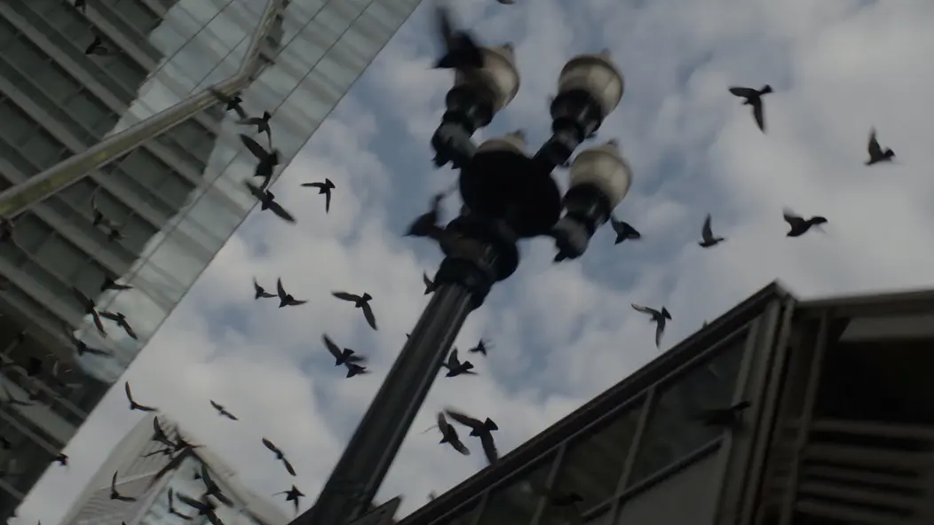 изображение галереи 1