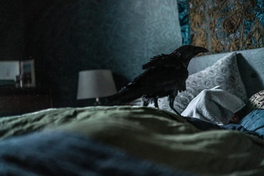 изображение галереи 1