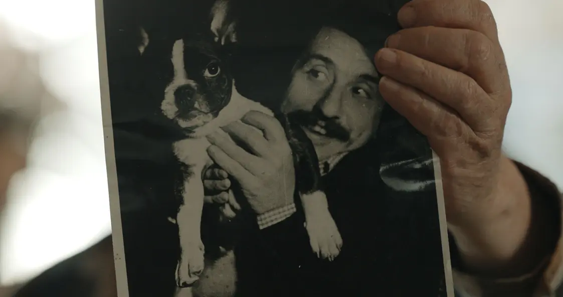 изображение галереи 1