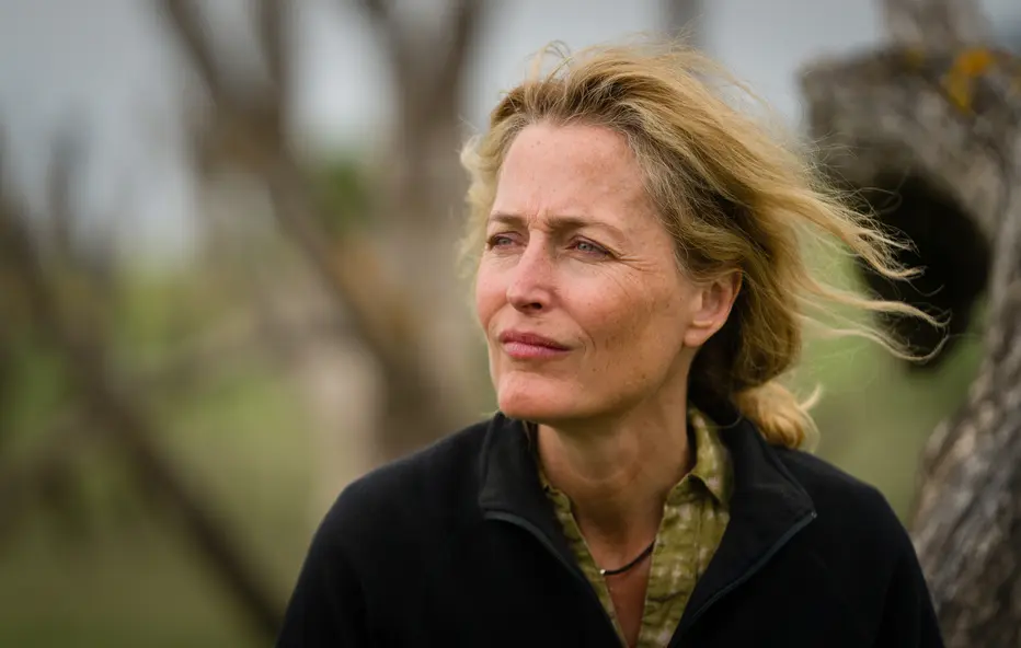 изображение галереи 1