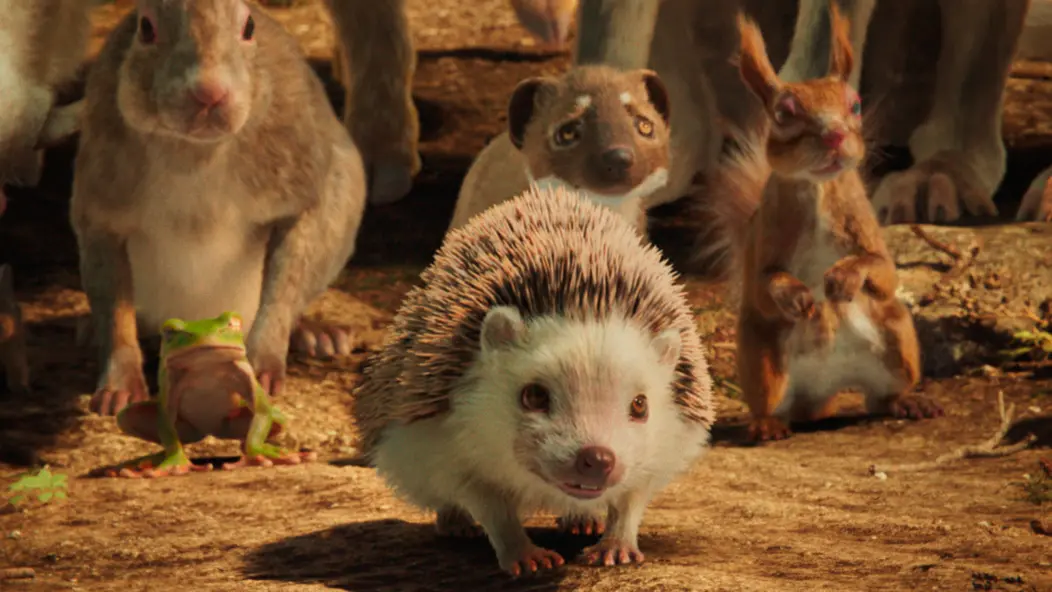 изображение галереи 1