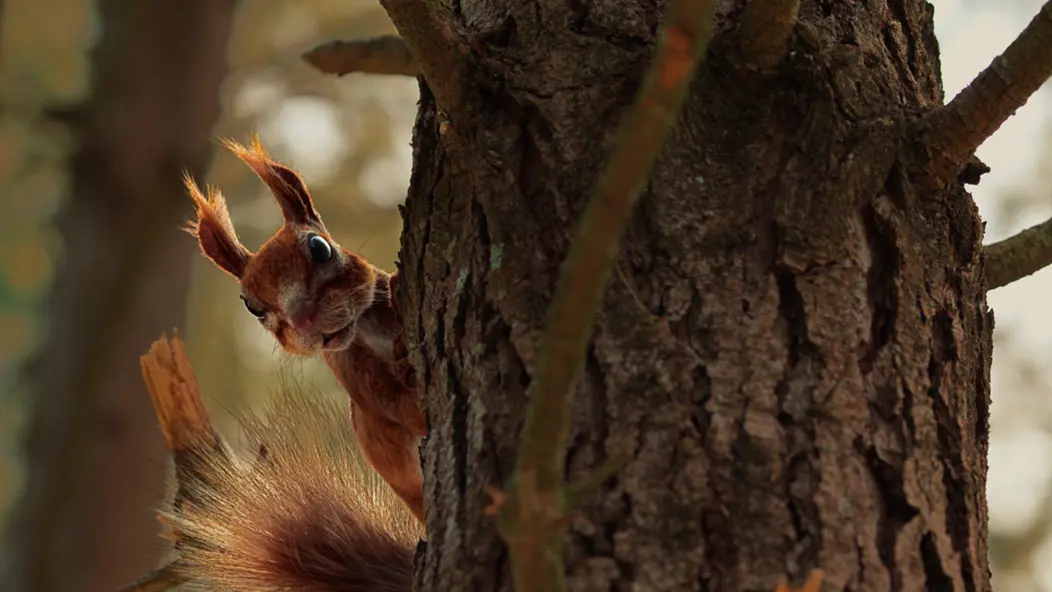 изображение галереи 1