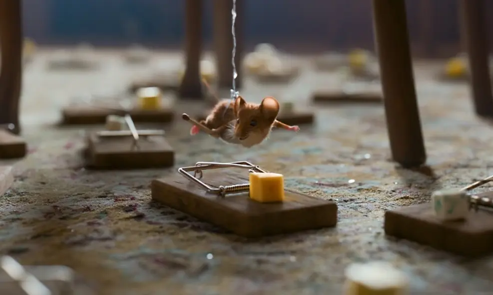 изображение галереи 1