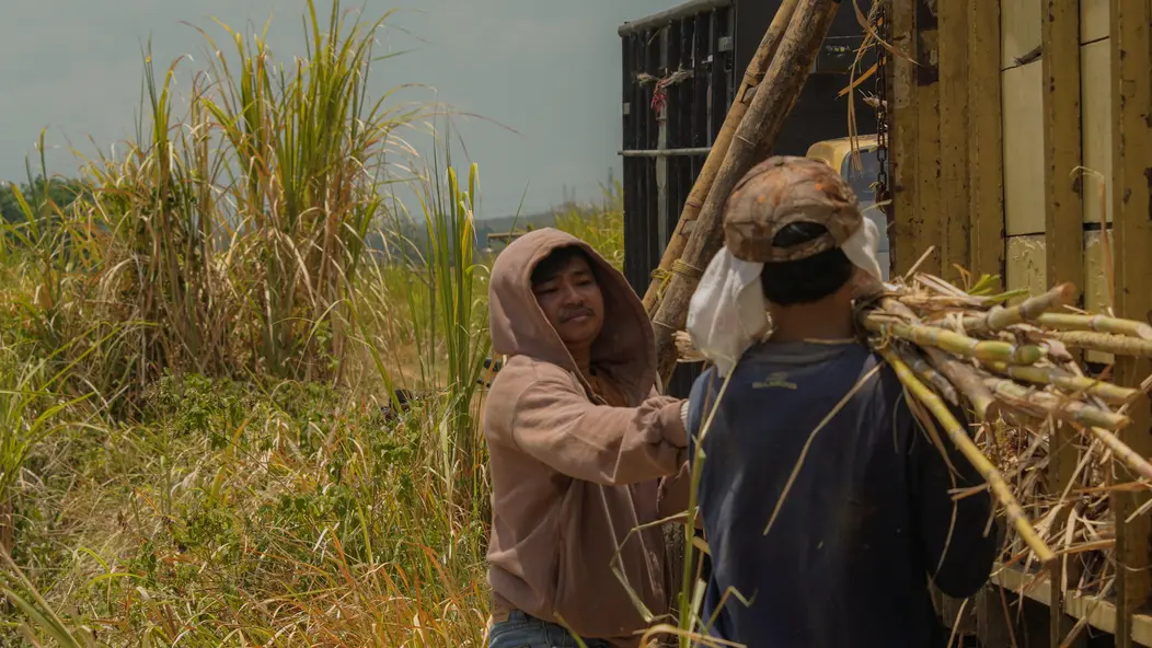 изображение галереи 1