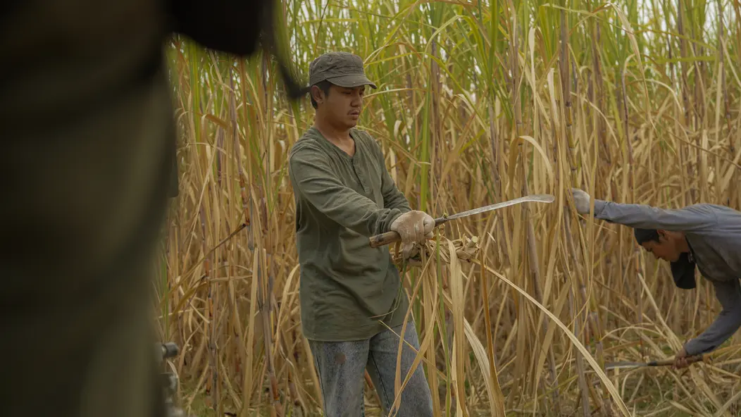 изображение галереи 1