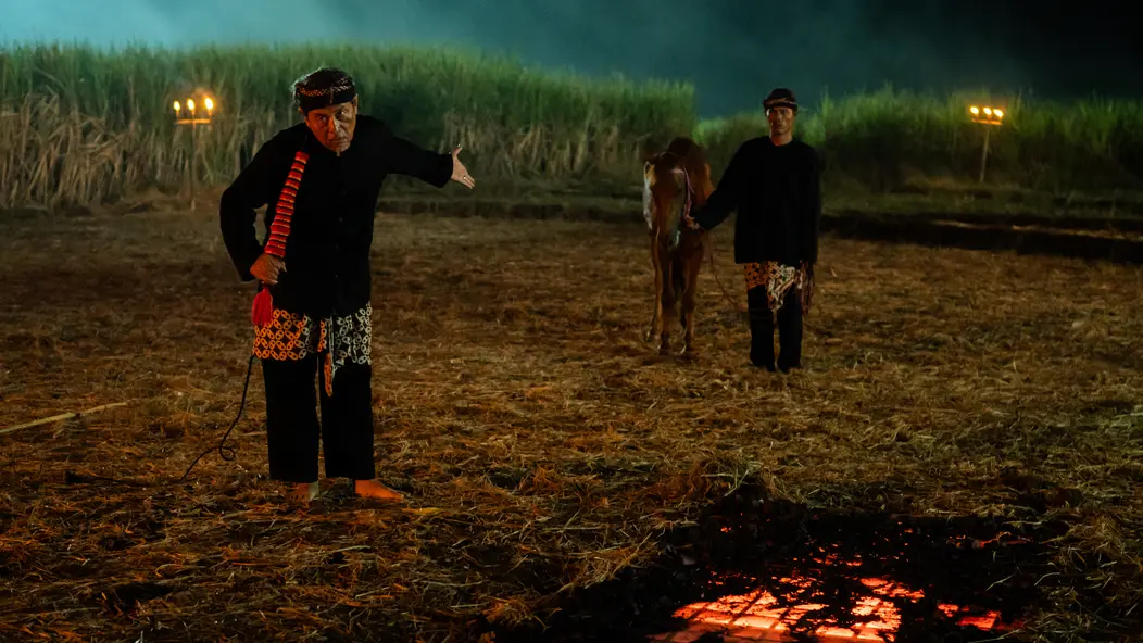 изображение галереи 1