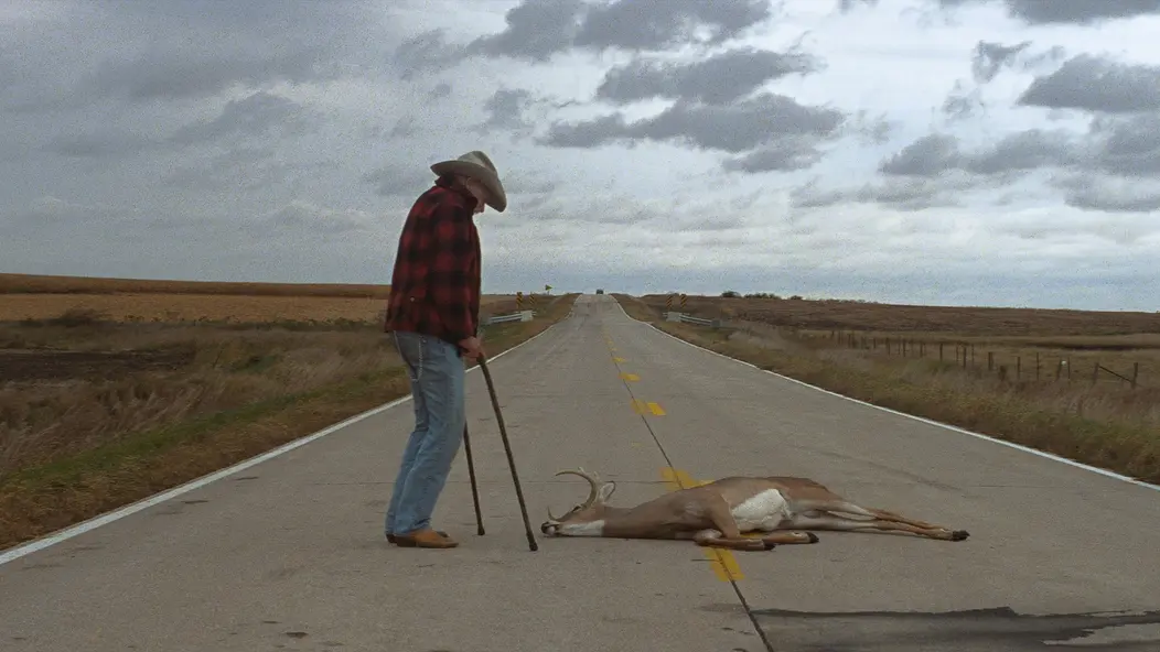 изображение галереи 1