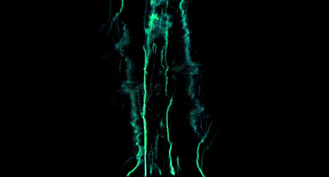 изображение галереи 1