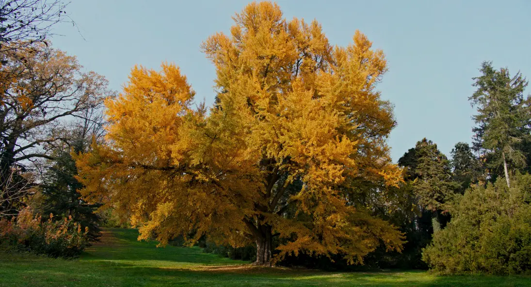 изображение галереи 1