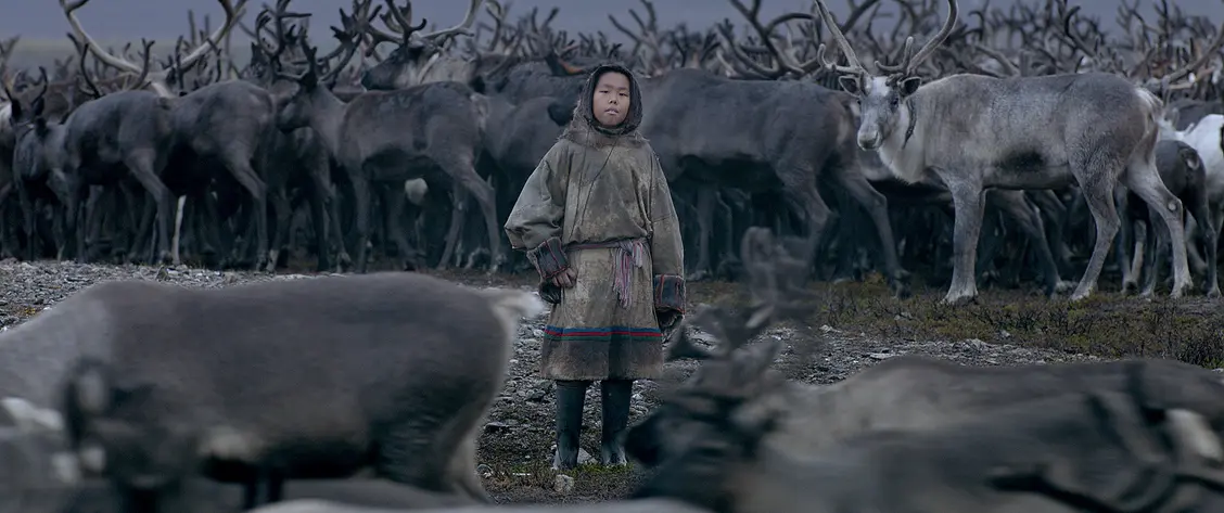 изображение галереи 1