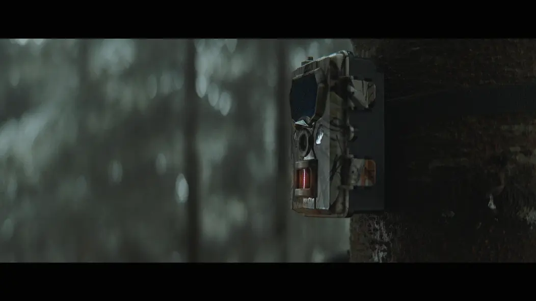 изображение галереи 1