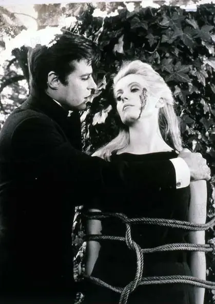 изображение галереи 1