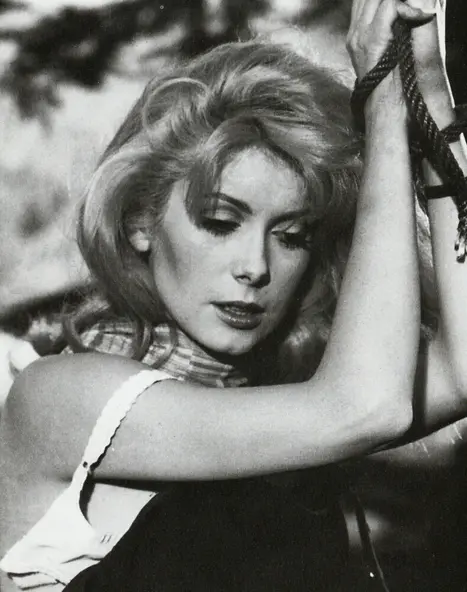 изображение галереи 1