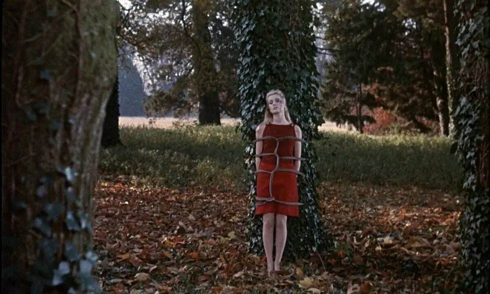 изображение галереи 1