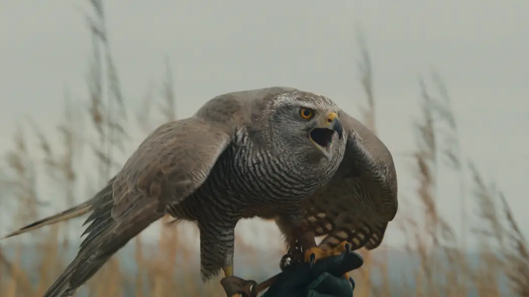 изображение галереи 1