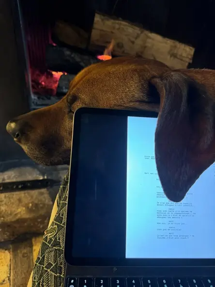 изображение галереи 1