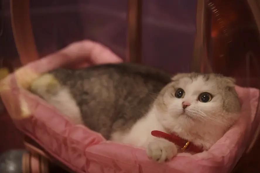 изображение галереи 1