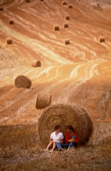 изображение галереи 1