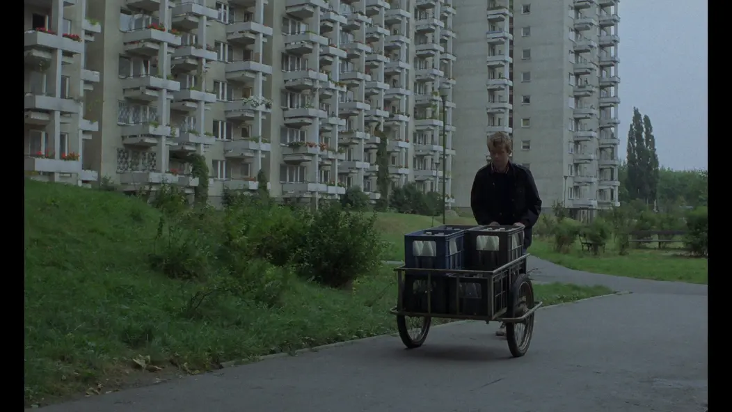 изображение галереи 1