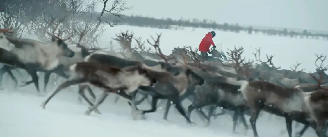 изображение галереи 1