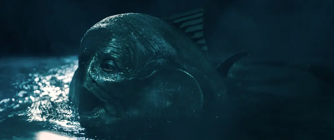 изображение галереи 1